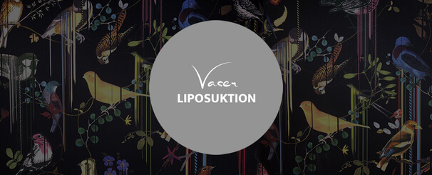 Vaser Liposuktion, Dr. Deb, Plastische Chirurgie & Schönheitschirurgie in Frankfurt 