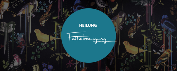 Heilung Fettabsaugung, Dr. Deb, Plastische Chirurgie & Schönheitschirurgie in Frankfurt 