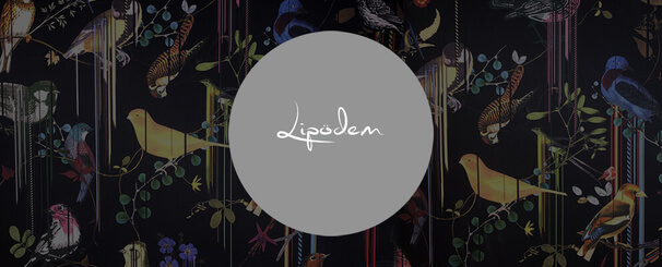 Lipödem, Dr. Deb, Plastische Chirurgie & Schönheitschirurgie in Frankfurt