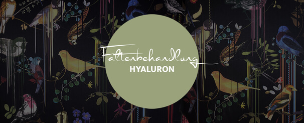 Faltenbehandlung Hyaluron, Dr. Deb, Plastische Chirurgie & Schönheitschirurgie in Frankfurt