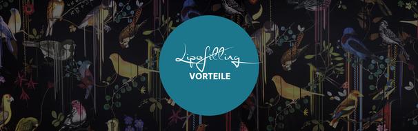 Vorteile Lipofilling, Dr. Deb, Plastische Chirurgie & Schönheitschirurgie in Frankfurt 