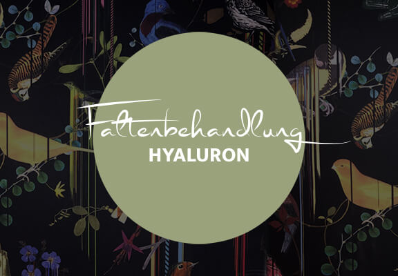 Faltenbehandlung Hyaluron, Dr. Deb, Plastische Chirurgie & Schönheitschirurgie in Frankfurt