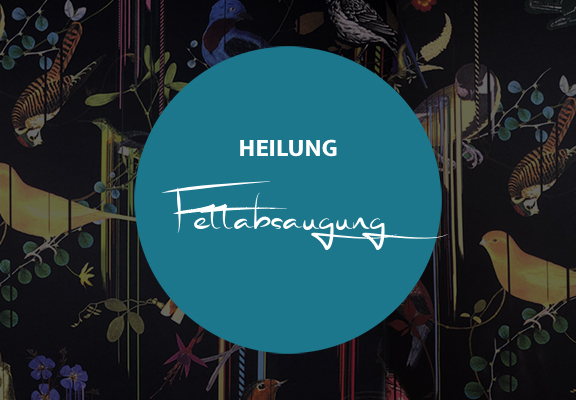 Heilung Fettabsaugung, Dr. Deb, Plastische Chirurgie & Schönheitschirurgie in Frankfurt 