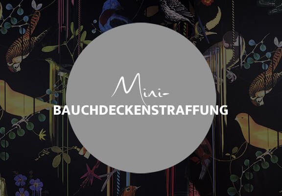 Mini Bauchdeckenstraffung, Dr. Deb, Plastische Chirurgie & Schönheitschirurgie in Frankfurt 
