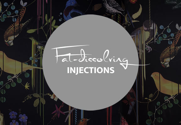 Fat dissolving injections, plastic surgery Frankfurt, Central Aesthetics by Dr. Deb